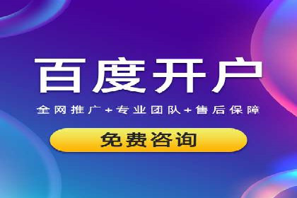 竞价SEM案例分享：行业霸主崛起之路